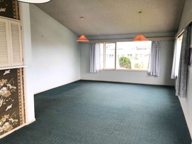 3A Britton Avenue Mt Roskill_2