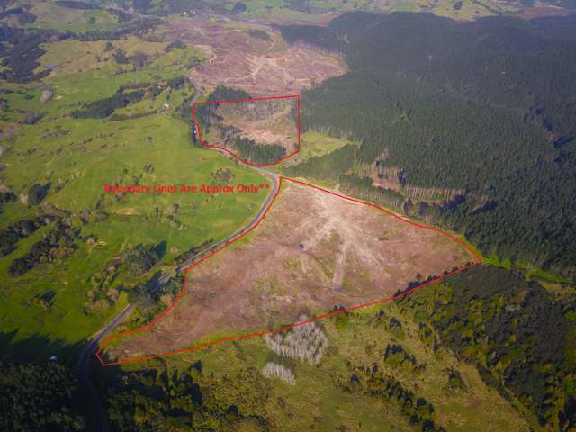 Forestry Land in Herekino - Deadline Sale!