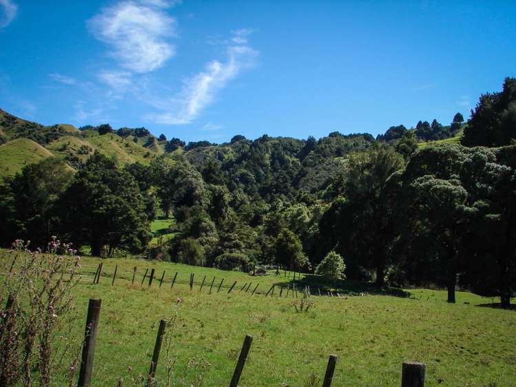 82 Carter Road Taumarunui_14