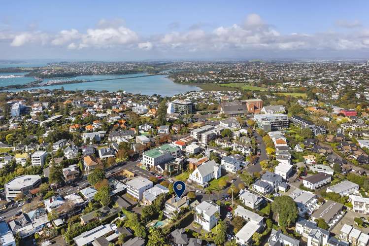 7 Birdwood Crescent Parnell_30