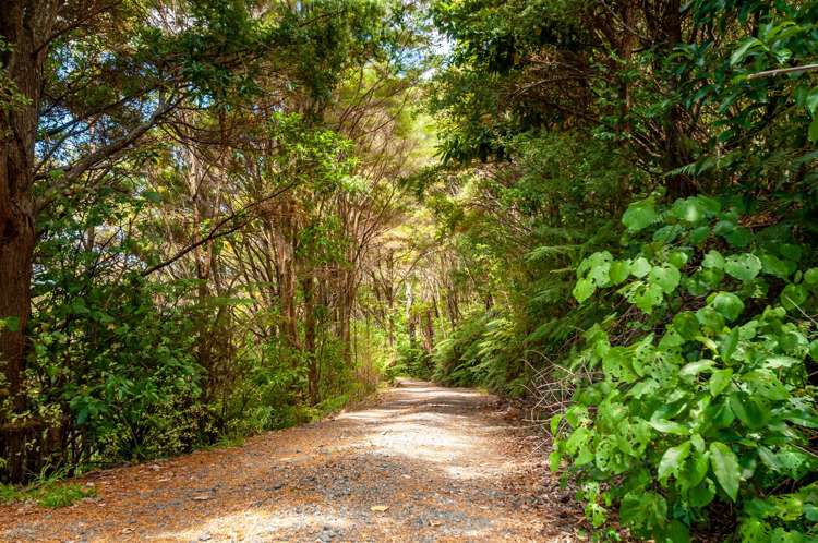 71 Kaiatea Road Ngunguru_26