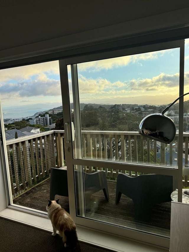 27 Sugarloaf Road Brooklyn_4