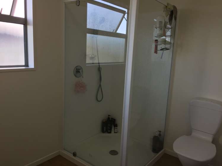 29 Elizabeth Street 10211_10