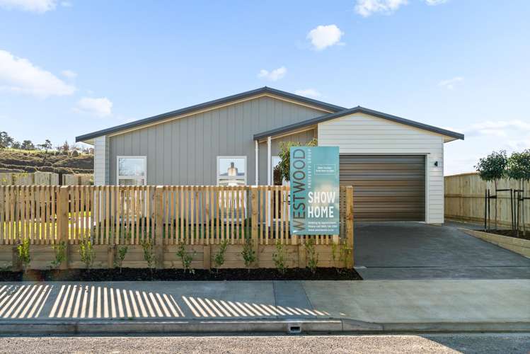 77 Kitchener Street_0