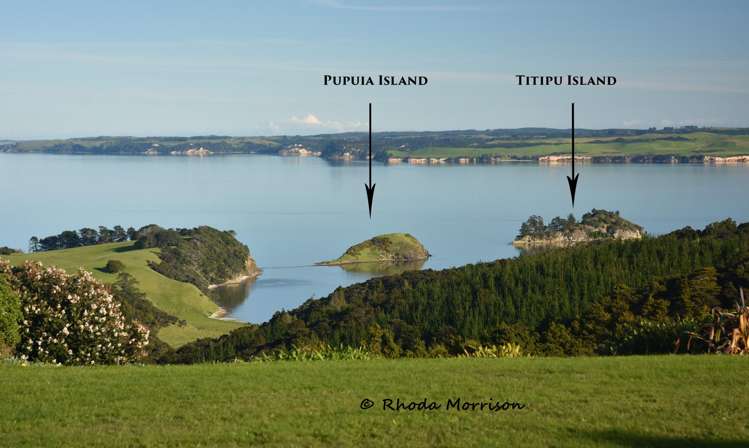 986 Tinopai Road Matakohe_8