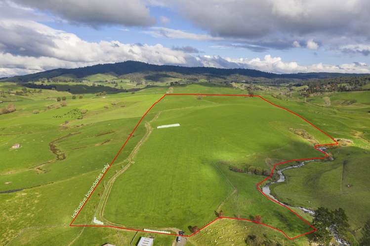 Piakonui Road Richmond Downs_11