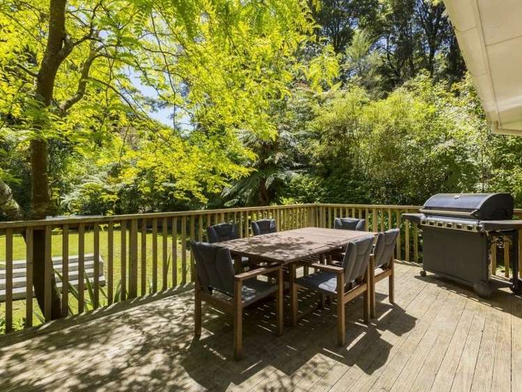 49 Blue Mountains Road Pinehaven_5