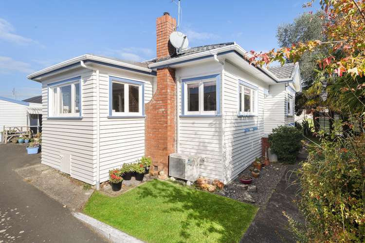 233 Palmer Street Te Awamutu_6