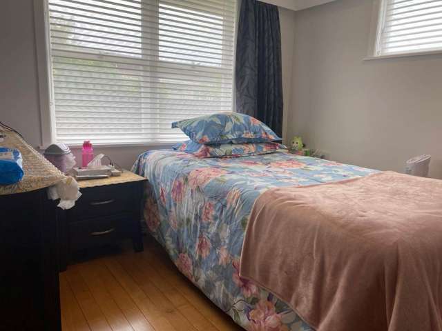 1/3 Wyllie Road Papatoetoe_4