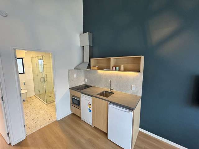 Address withheld Mt Wellington_4