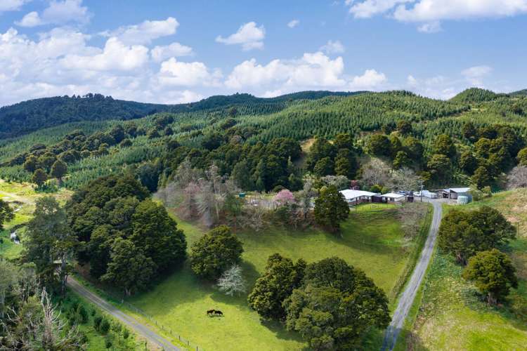 5209 Highway 22 Waingaro_26