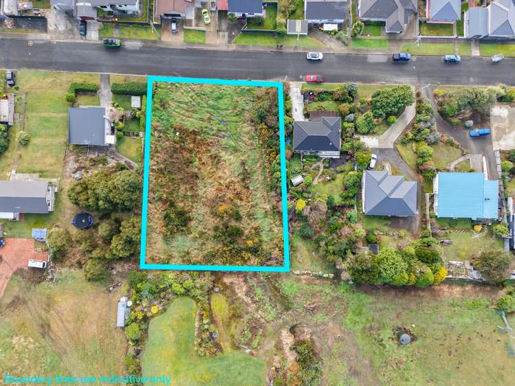 30, 34, 36 Pilcher Avenue_3