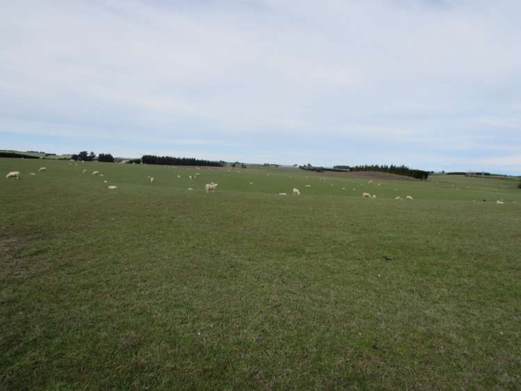 733 Koi Road Gore Surrounds_14