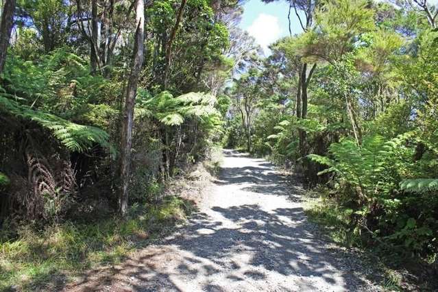 248 Rosalie Bay Road Great Barrier Island (Aotea Island)_4