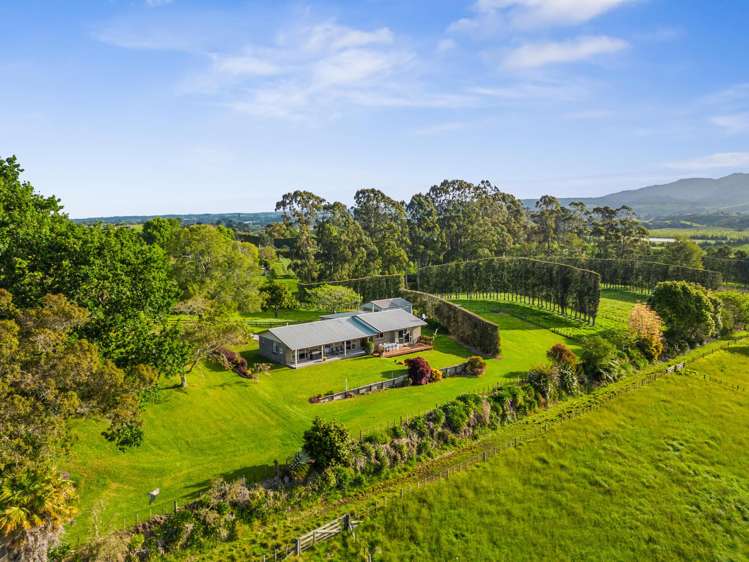 121 Stewart Road Whakamarama_4