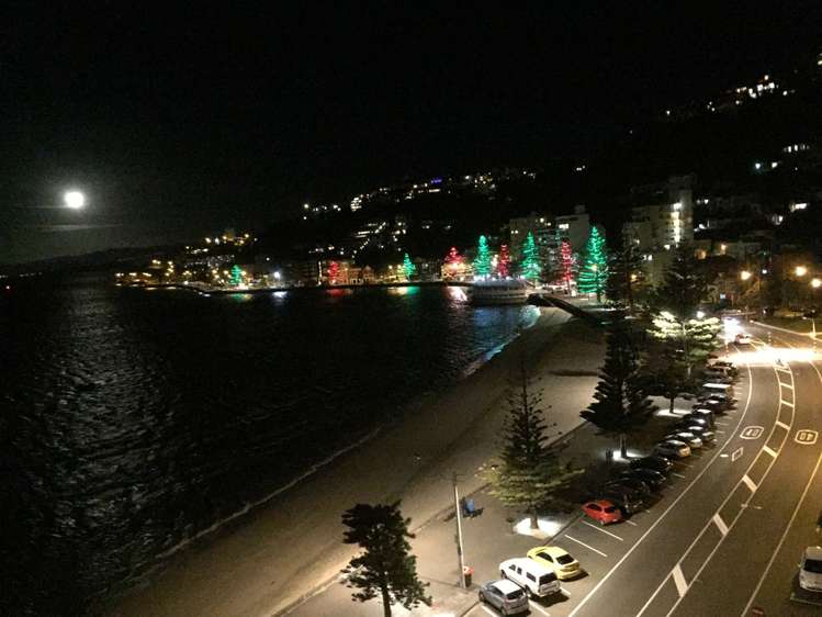 5/178 Oriental Parade Oriental Bay_6