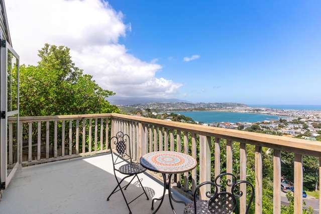 38 Rakau Road Hataitai_1