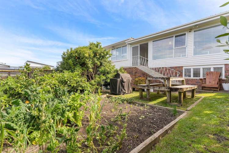 37 Nelson Street Howick_9