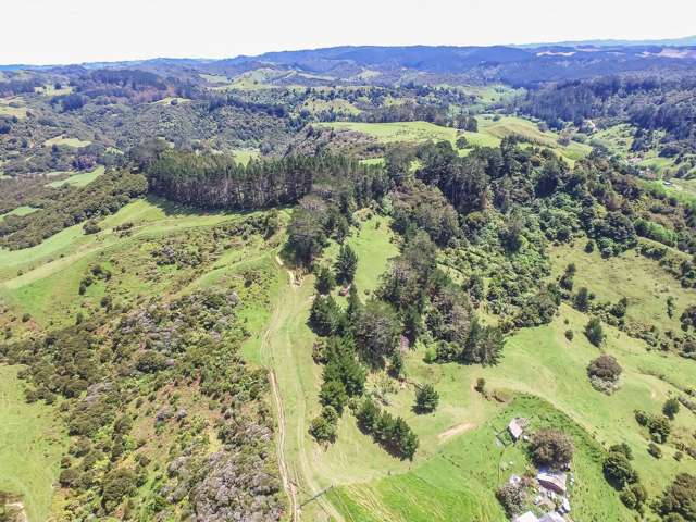 430 Krippner Road Puhoi_2