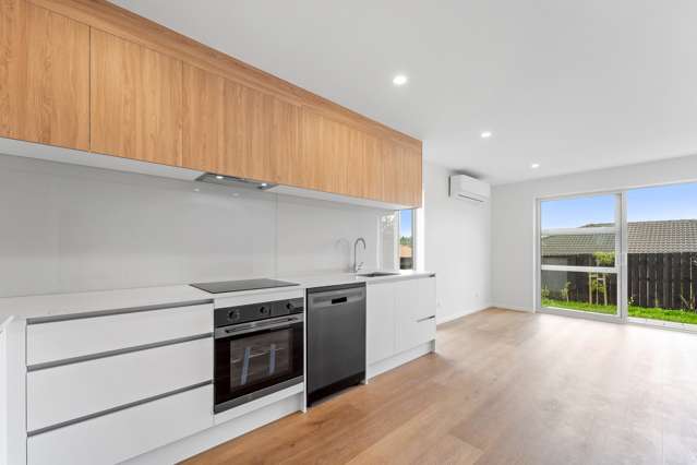 341 Glengarry Road Glen Eden_2