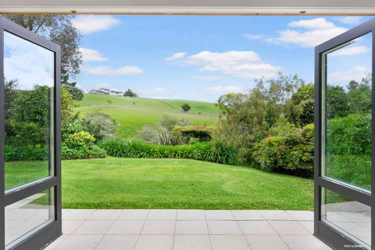 133 Ara-Kotinga Whitford_11