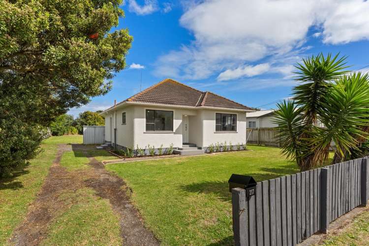 217 Puriri Street 1200_1