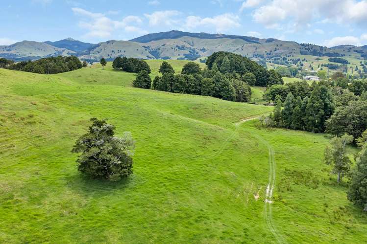 Pipiwai Road Purua_24