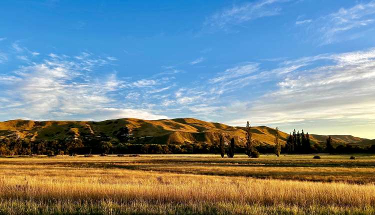 Lot 1-11 & 13-17, 566 Pourerere Road Waipawa_8