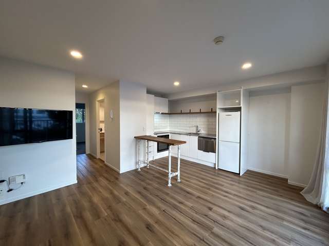 3M/3 Keystone Avenue Mount Roskill_1