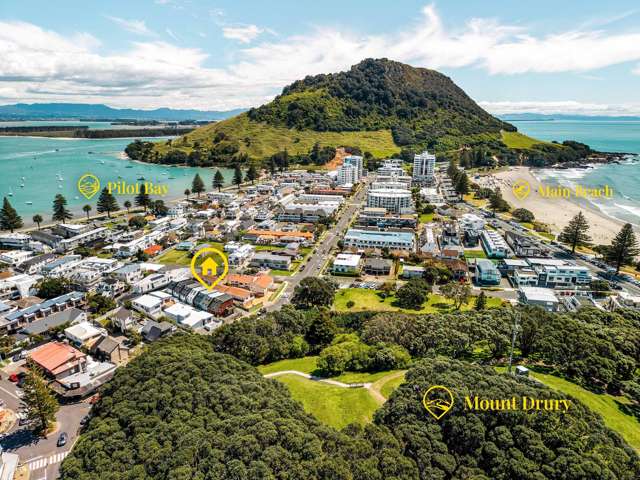 62C Maunganui Road Mt Maunganui_2