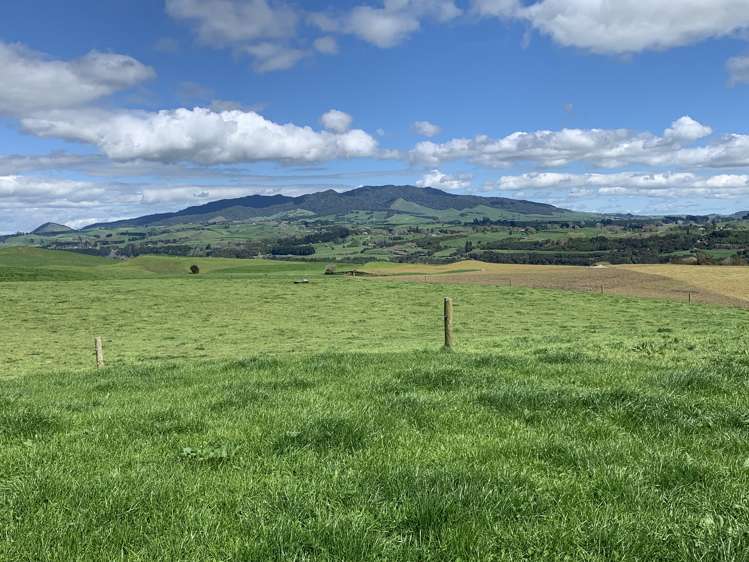 254 State Highway 1 Hauraki Surrounds_5