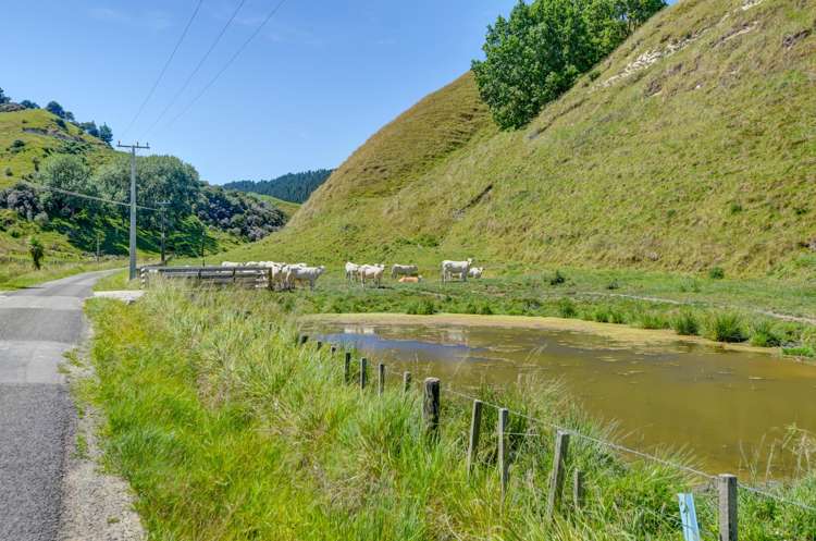 52 Longacre Road Okoia_3