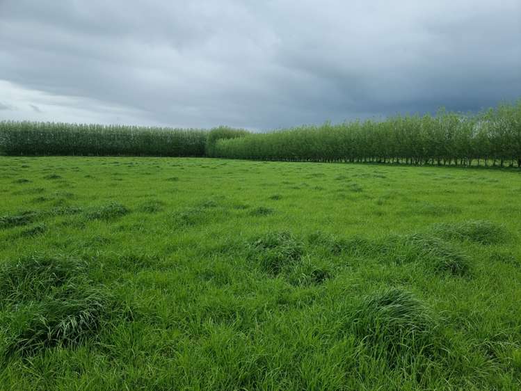 140 Hudsons Road Lincoln_28