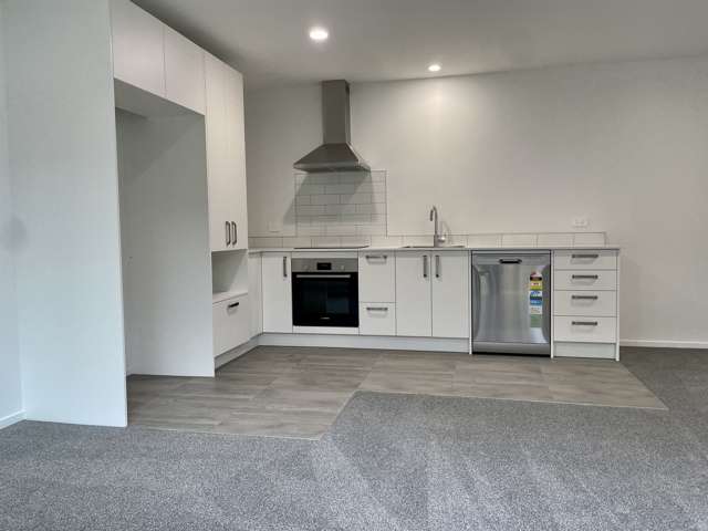 2/155 Rimu Street Maeroa_3