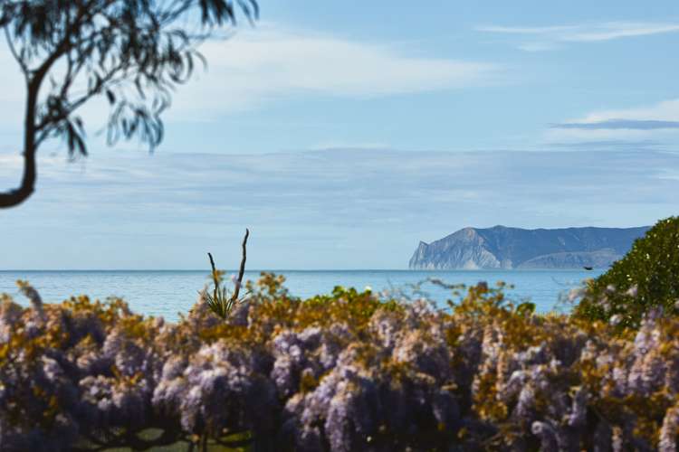 182 Rarangi Beach Road Rarangi_15