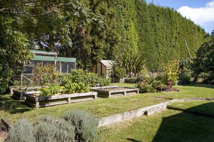 73 Stewart Road Whakamarama_21