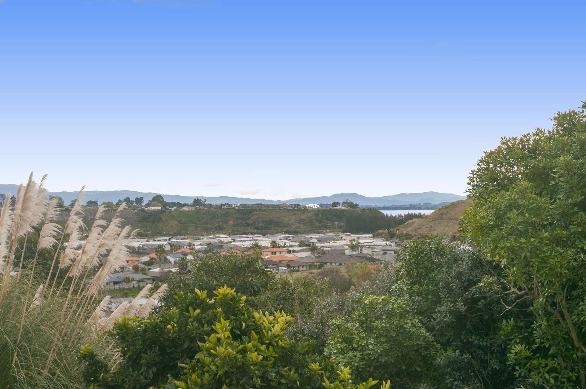 313 Waihi Road Judea_0