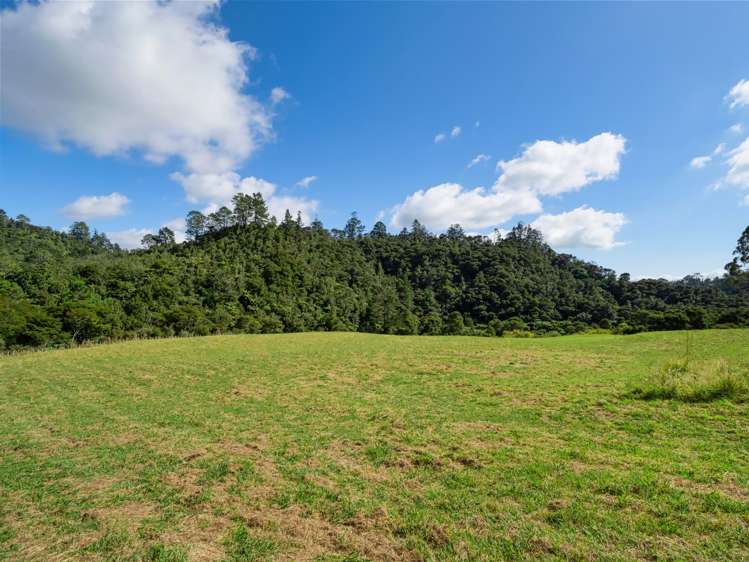 210 Wainui South Road Whakamarama_16