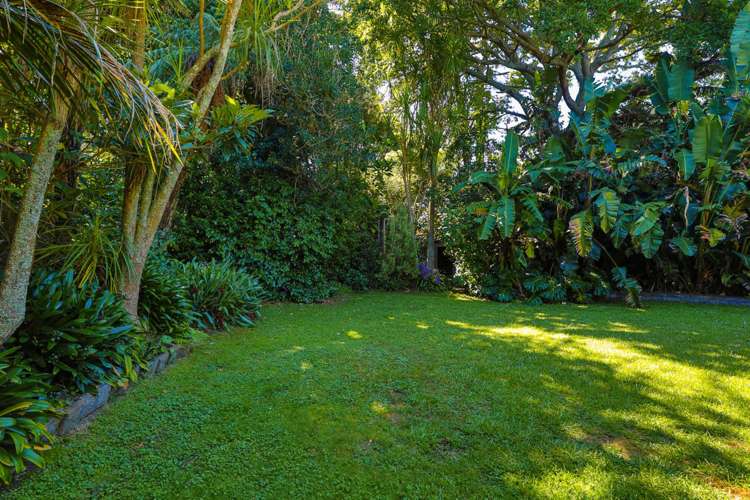 29 Lyons Avenue Murrays Bay_23