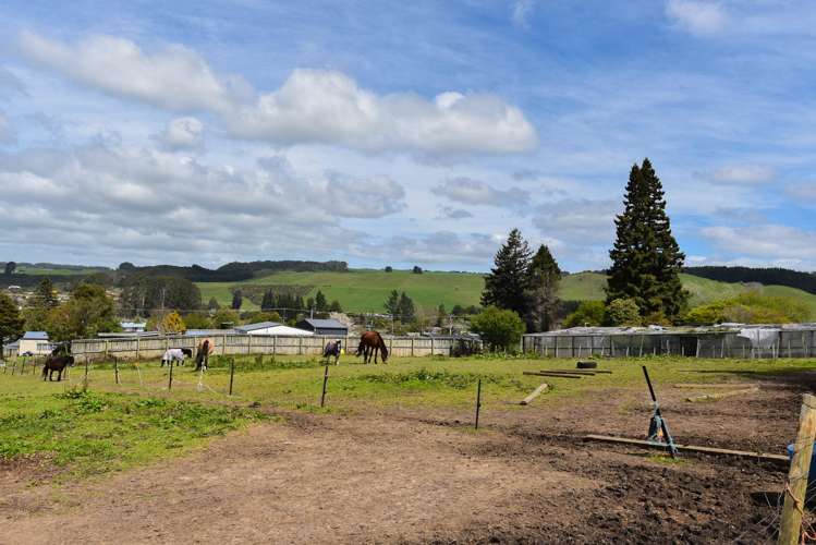 331 Clayton Road Pukehangi_5