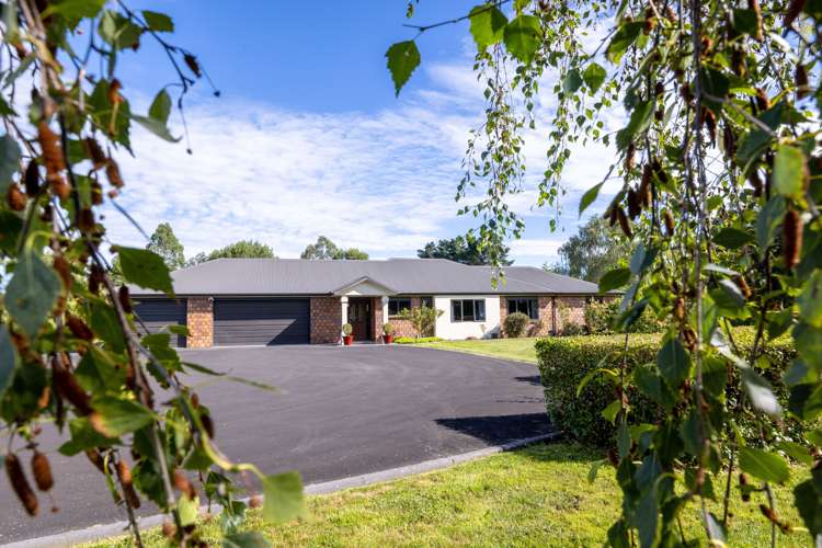 203 Woodside Road Matangi_3