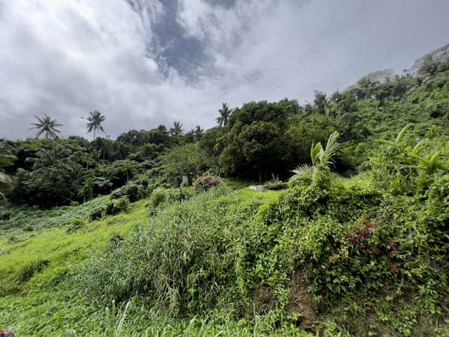 Lot 7 Korovesi, savusavu Vanua Levu_2