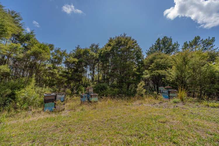 184 Hikuai Settlement Road Hikuai_20