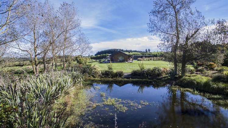 139 Summerhill Road Cust_17