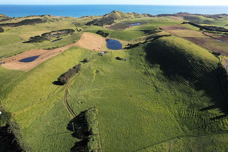Rehutai Road Baylys Beach_7