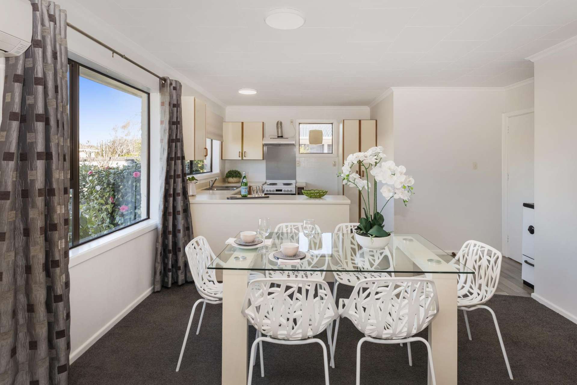 11 and 11A Eglinton Street Avondale_0