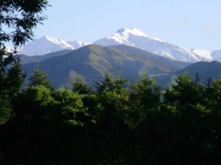 13 Hartley Avenue Carterton_2