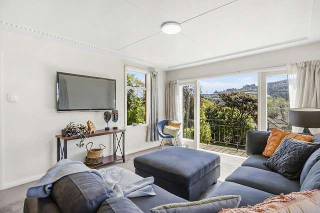 56 Mayfield Avenue Wakari_2