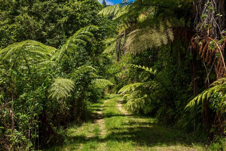 185 Kanuka Rise Wakapuaka_15