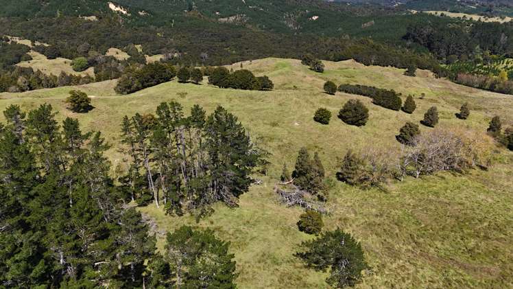 46 Buchanan Road Broadwood_8